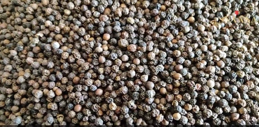 INSIGHT ON BLACK PEPPER COLLECTION - TEOF Perfumery